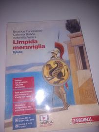 limpida meraviglia epica 9788808902047