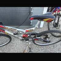 bicicletta