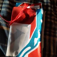 Bandiera Lega anni 90