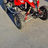 Quad polaris predator 500