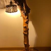 Lampada ulivo