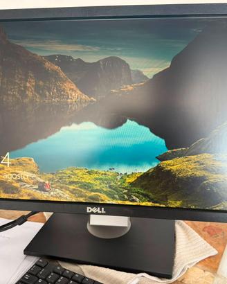 Monitor Dell Professional P2210 22"