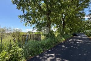 TER. AGRICOLO A NEPI