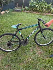 mountain bike Bicicletta A bergamo