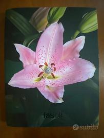Catalogo 2026 "Fasoli Gioielli/Orologi" Come Nuovo