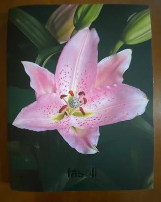 Catalogo 2026 "Fasoli Gioielli/Orologi" Come Nuovo