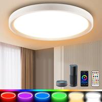 Plafoniera LED 24W Soffitto Compatibile con Alexa