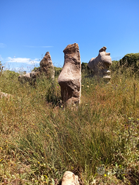 Modolo Terreno malvasia