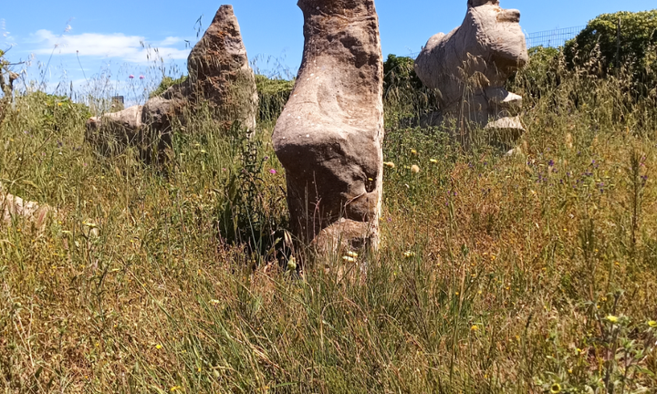 Modolo Terreno malvasia