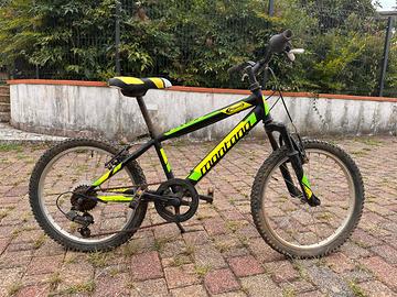 Bicicletta ragazzo 20”