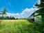Immagine 11