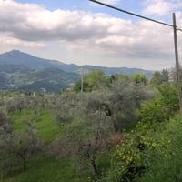Terreno Agricolo - Ascoli Piceno