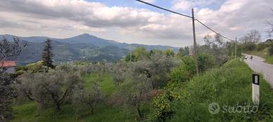Terreno Agricolo - Ascoli Piceno