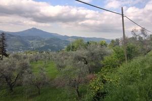 Terreno Agricolo - Ascoli Piceno
