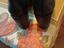 Immagine 4