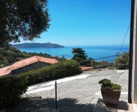 Palinuro dal 23 agosto appartamento sul mare