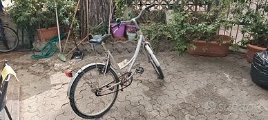 Bici da Città Vintage Grigia con Portapacchi