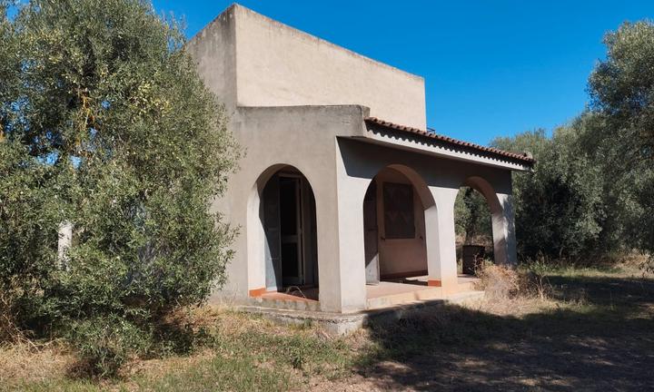 Uliveto con Fabbricato e Pozzo Artesiano