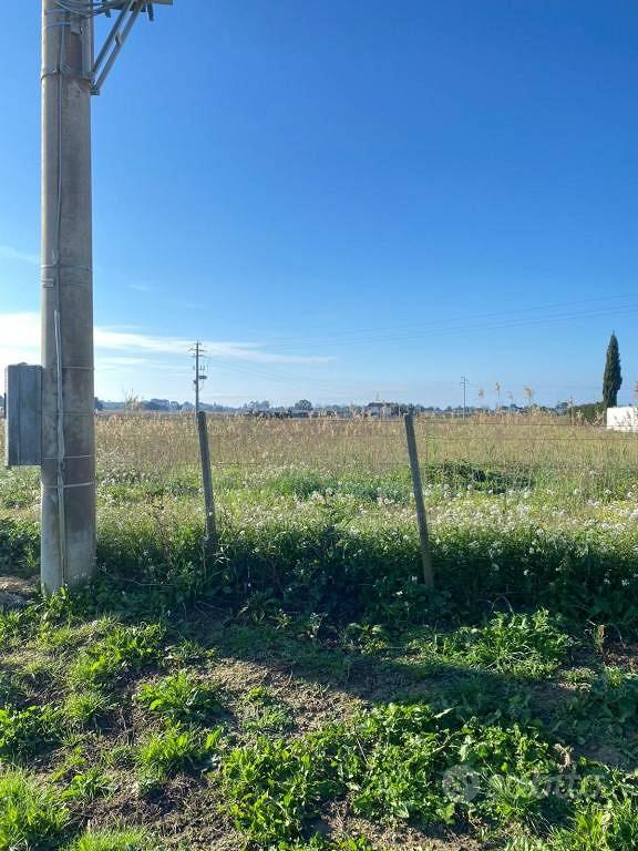 Terreno di 10420 m² a Menfi - Vista 5