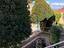 Immagine 13