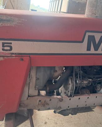 massey ferguson x ricambi