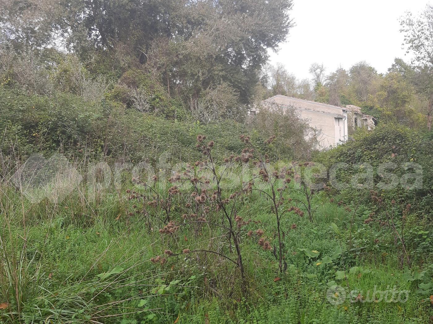 Rustico/Casale/Corte San Pietro Avellana [3824VRG] - Altro
