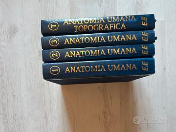 Libri universitari di anatomia umana