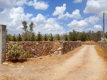 Terreno agricolo