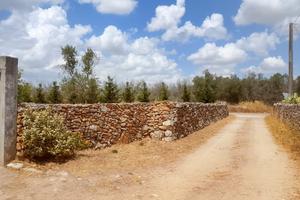 Terreno agricolo
