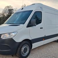Sprinter - FRIGO FRCX - 20° C - Km 97.000 - 2021