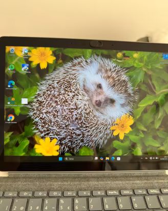 Microsoft surface go 3