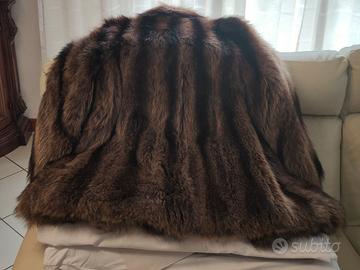 pellliccia marmotta 