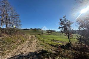 TER. AGRICOLO A MONTECASTRILLI