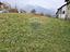 Immagine 29