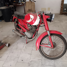 Moto morini