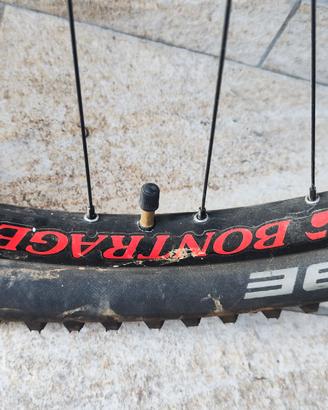 cerchi MTB  29 Bontrager + Schwalbe