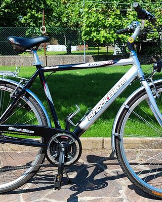 City Bike ShockBlaze Dolomite