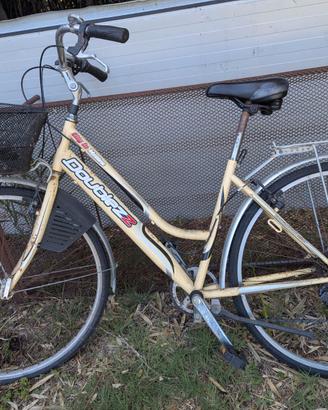 Bicicletta  donna