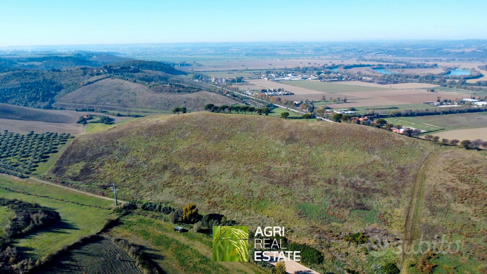 Terreno agricolo collinare di 10 ettari - Altro