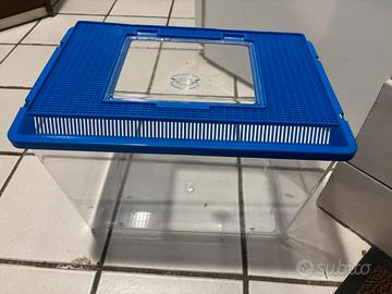 Acquario pesci/tartarughe