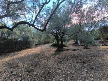 Terreno edificabile quartu