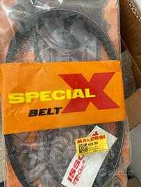 Malossi Special Belt Minarelli