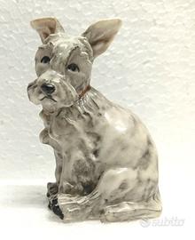 CACCIAPUOTI ceramica miniatura cane TERRIER