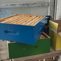 Arnie e famiglie di api