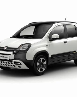 FIAT Pandina Pandina 1.0 FireFly 65 CV Hybrid C...