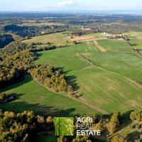 Terreno 18 HA con fabbricato diruto | TR326