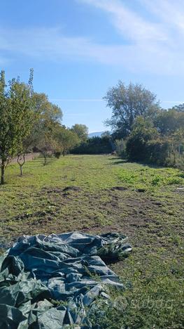 Terreno per dépendance