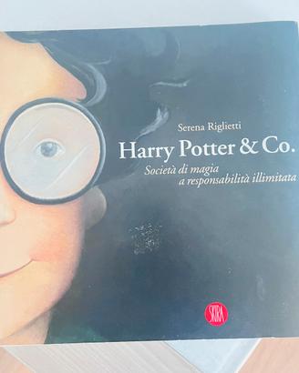 Harry Potter & co. Libro serena riglietti 2007