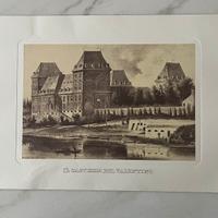 Stampa il Castello del Valentino - Torino