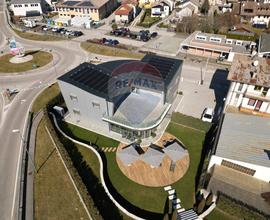 Laboratorio - Alpago